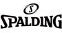 SPALDING SPALDING